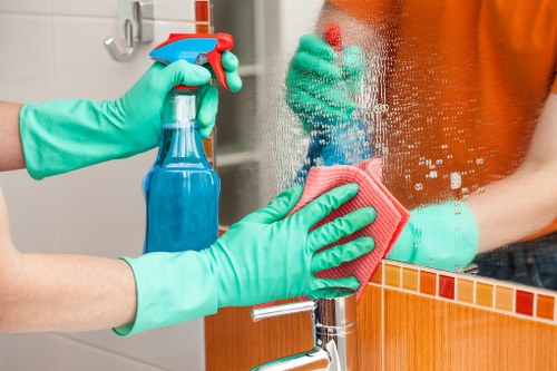 A detailed deep cleaning scene in a Highbury home
