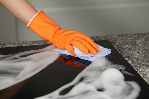 Cleaner providing domestic cleaning in a Highbury flat