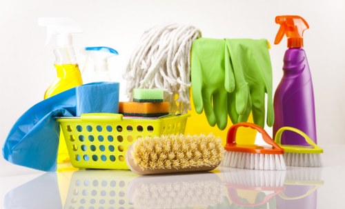 Cleaning professional preparing safe deep cleaning equipment