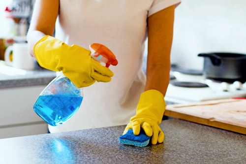 Deep cleaning team beginning a thorough cleaning service in Highbury