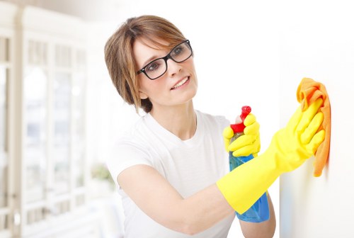 Professional hard floor cleaning for Highbury homes and hallways