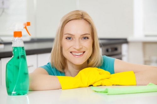 Bathroom cleaning in a Highbury home with bright tiles, mirrors, and tidy fixtures