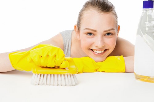 Local domestic cleaner vacuuming a Highbury flat