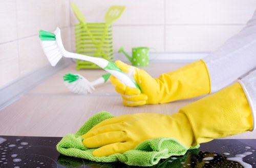 Cleaning support for apartments and offices near Highbury