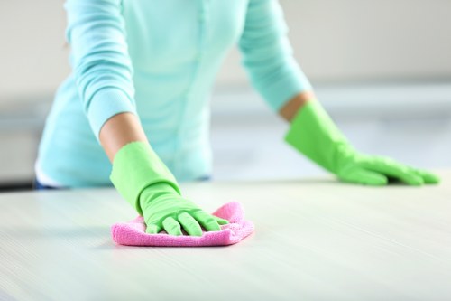 Local cleaners working in a Highbury flat interior