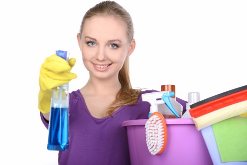 Reliable Highbury cleaners for regular and one-off visits