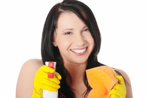 Professional cleaner handling a bathroom clean in Highbury