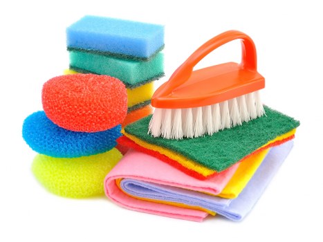 Regular domestic cleaner in a Highbury flat