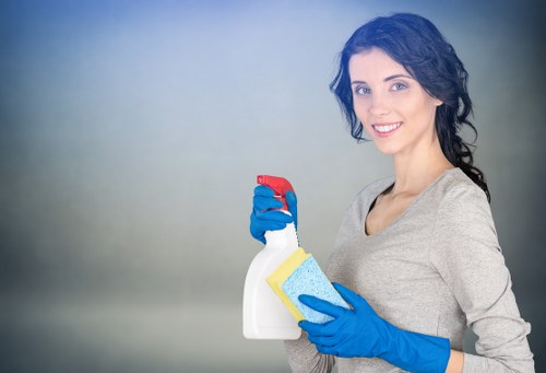 Cleaner working on residential glass and frames in Highbury